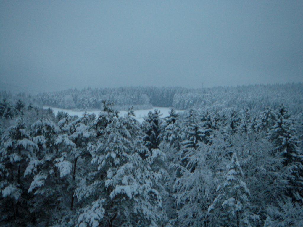 Gasthof Jaegerheim Birgland Exterior photo